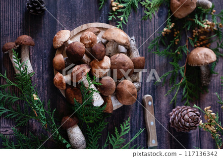 Basket with edible white mushrooms. Boletus edulis. Collect porcini in forest Basket with edible white mushrooms. Boletus edulis. Collect porcini in forest 117136342