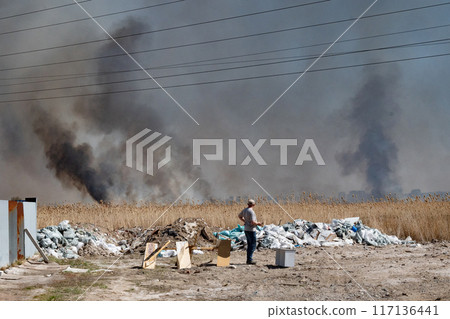 A forest fire on the stubble of a wheat field after harvesting near the forest. Burning dry grass in a meadow due to arid climate, hot weather and environmental pollution. Enriching the soil with 117136441
