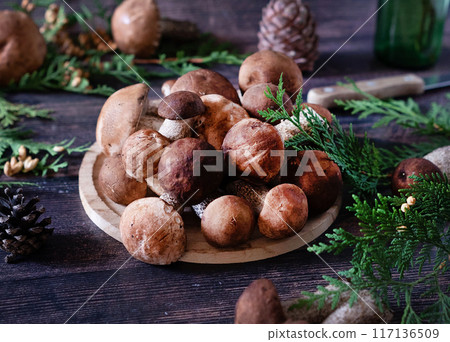 Mushroom Boletus in wicker basket. Autumn Cep Mushrooms. Spring Boletus edulis detail. Cooking delicious organic food mushroom. Mushroom Boletus in wicker basket. Autumn Cep Mushrooms. Spring Boletus edulis detail. Cooking delicious organic food mushroom. 117136509