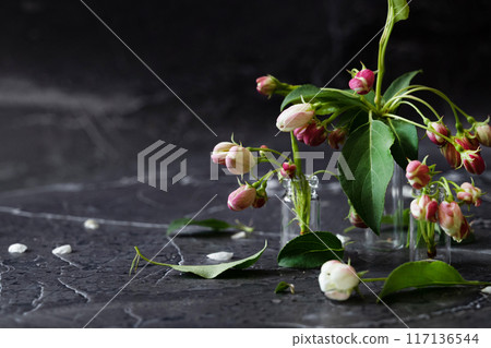 Floral layout on a vintage white wooden background and computer partially. Spring flowers, woman freelancing concept. View from above. Floral layout on a vintage white wooden background and computer partially. Spring flowers, woman freelancing concept. View from above. 117136544