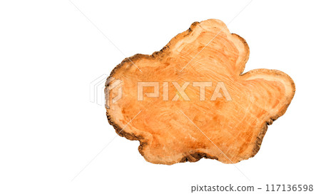 Cut-out image of a cross-section of a log on a white background with clipping paths. 117136598