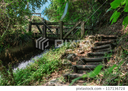 Mountain path leading to Ryumon Falls in Aira City (horizontal composition) 117136728