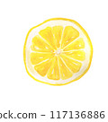Slice of lemon watercolor hand drawn 117136886