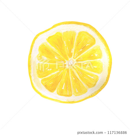 Slice of lemon watercolor hand drawn Slice of lemon watercolor hand drawn 117136886