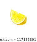 Slice of lemon watercolor hand drawn 117136891