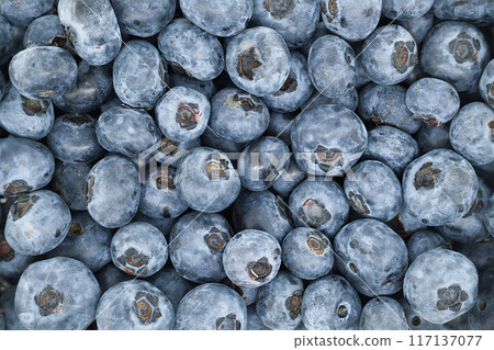 Close-up of fresh, organic blueberries showcasing their texture and natural color Close-up of fresh, organic blueberries showcasing their texture and natural color 117137077