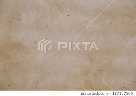 Construction worker thermally insulating house mineral wool attic with glass wool 117137509