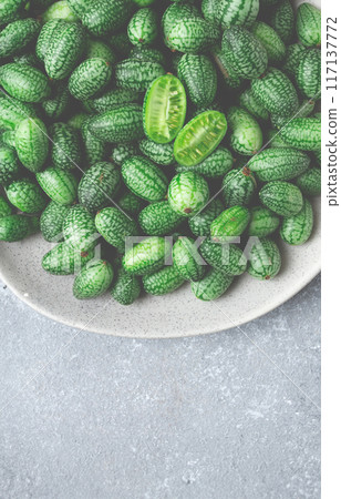 African cucumber, Mexican cucumber, mouse melon, Melothria, 117137772