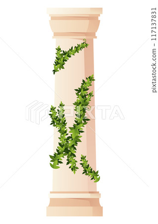Ancient ivy covered column. Museum and exhibition. Cartoon greek or roman pillar with climbing ivy branches. Antique foliage decorated element. Cartoon flat vector isolated on white Ancient ivy covered column. Museum and exhibition. Cartoon greek or roman pillar with climbing ivy branches. Antique foliage decorated element. Cartoon flat vector isolated on white 117137831