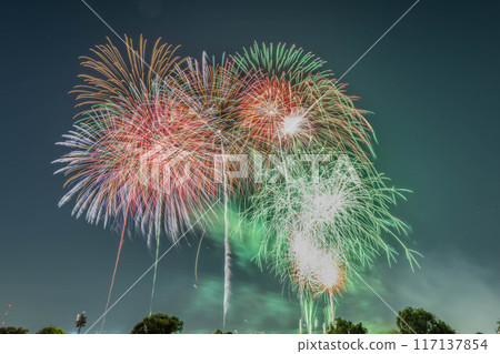 The 65th Itabashi Fireworks Festival 117137854