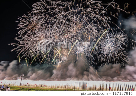 The 65th Itabashi Fireworks Festival 117137915