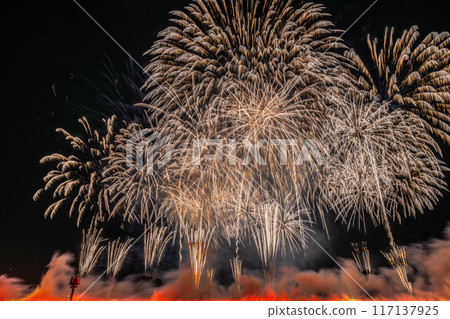 The 65th Itabashi Fireworks Festival 117137925