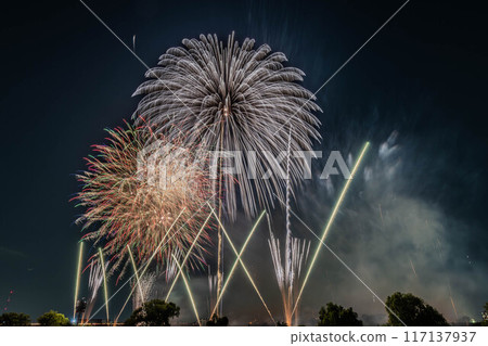 第65屆板橋花火大會 第65屆板橋花火大會 117137937