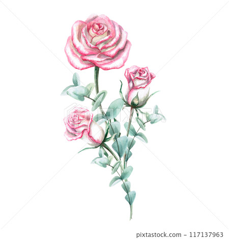 Bouquet of pink roses in watercolor illustration. Hand drawn watercolor for cards, posters, cosmetics, celebration decorations. Composition isolated from background Bouquet of pink roses in watercolor illustration. Hand drawn watercolor for cards, posters, cosmetics, celebration decorations. Composition isolated from background 117137963