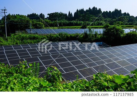 太陽能板 117137985