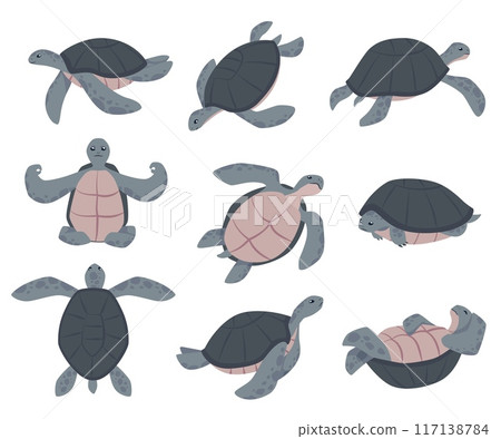 Set of cute sea or ocean turtle animal in different poses flat style 117138784