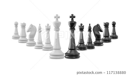3d set of black and white chess pieces. 117138880