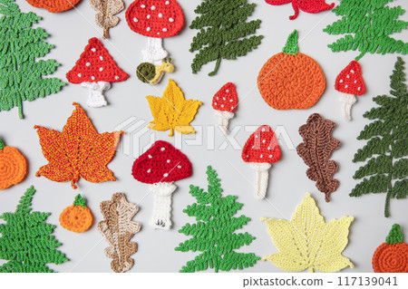 Bright autumn pattern of knitted toys in form leaves of oak, maple, fern and mushroom mushrooms with place for text in center. Knitted autumn story with your own hands. Bright autumn pattern of knitted toys in form leaves of oak, maple, fern and mushroom mushrooms with place for text in center. Knitted autumn story with your own hands. 117139041