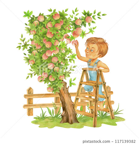 A teenage boy in denim overalls collects fruits from apple tree, standing on ladder. Harvest time. Isolated watercolor garden cartoon illustration for design of cards, posters, t-shirts, tableware A teenage boy in denim overalls collects fruits from apple tree, standing on ladder. Harvest time. Isolated watercolor garden cartoon illustration for design of cards, posters, t-shirts, tableware 117139382