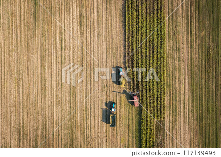 Stunning Aerial View of Farm Equipment Efficiently Harvesting Crops on Vast Agricultural Field Stunning Aerial View of Farm Equipment Efficiently Harvesting Crops on Vast Agricultural Field 117139493