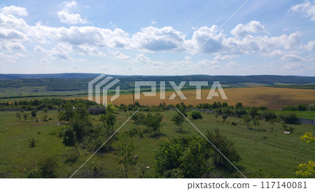 green and yellow meadows under blue sky and white clouds 117140081