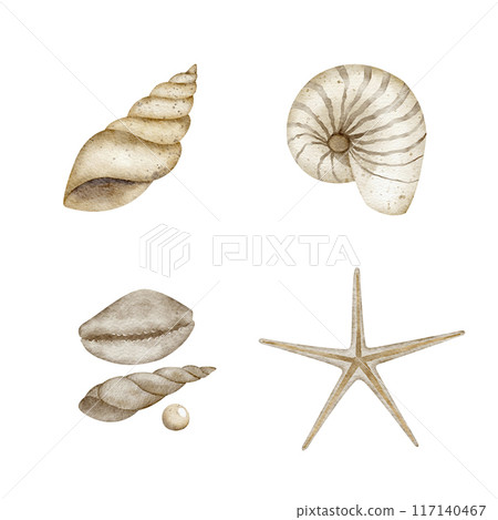 Watercolor set of underwater shells, starfish, scallop. Illustration, hand drawn isolated for design in nautical style, cards, posters, packaging, labels, invitations, congratulations 117140467