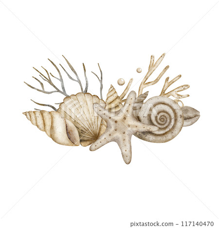 Watercolor composition starfish shells corals illustration for logo card clothes cosmetics packaging Watercolor composition starfish shells corals illustration for logo card clothes cosmetics packaging 117140470