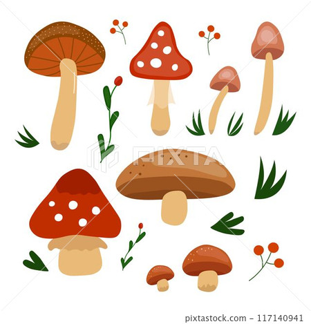 Doodle illustrated collection of various mushrooms and forest plants 117140941