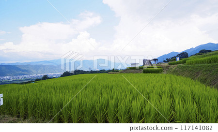梯田景觀（長野縣築曲市小巴舍特梯田） 117141082