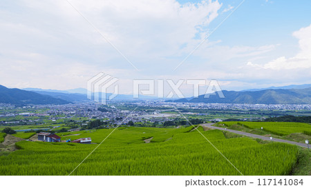 梯田景觀（長野縣築曲市小巴舍特梯田） 117141084
