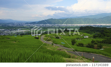 梯田景觀(長野縣築曲市小巴舍特梯田) 梯田景觀(長野縣築曲市小巴舍特梯田) 117141089