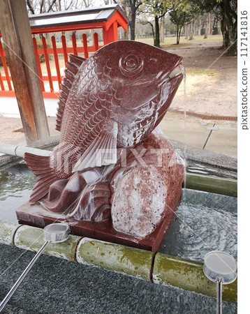 Sea bream in the shrine grounds Sea bream in the shrine grounds 117141816