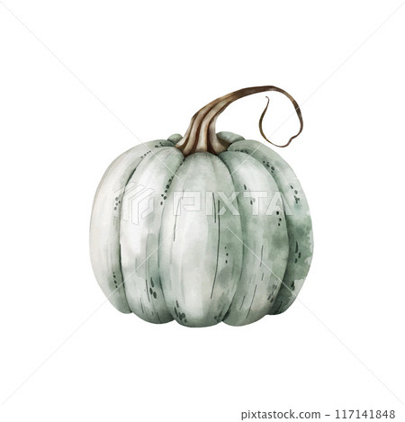 Watercolor illustration of green pumpkin Watercolor illustration of green pumpkin 117141848