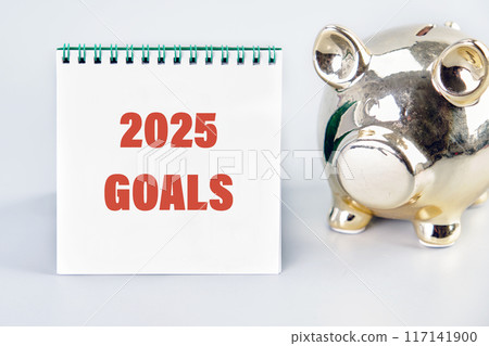 Resolution, strategy, solution, goal, business and New Year holiday concepts. 2025 GOALS on a notebook in front of a gray background near the piggy bank Resolution, strategy, solution, goal, business and New Year holiday concepts. 2025 GOALS on a notebook in front of a gray background near the piggy bank 117141900