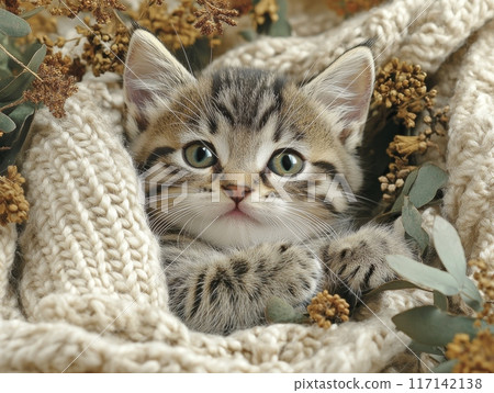 Adorable tabby kitten relaxing in a knitted blanket with flowers 117142138