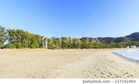 Beautiful coastline 117142464