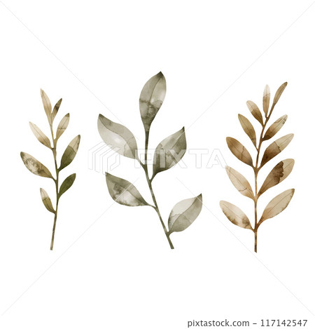 leaf, foliage, watercolor 117142547