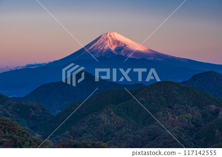 [Shizuoka Prefecture] Dawn view of Mt. Fuji from the mountains of Izu 117142555