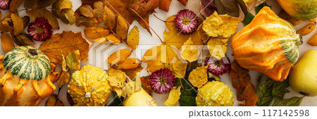 Background of various pumpkins and fallen leaves 117142598