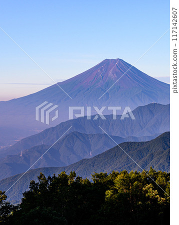 (Yamanashi Prefecture) Mt. Fuji seen in summer from Mt. Karagaharazuri (Yamanashi Prefecture) Mt. Fuji seen in summer from Mt. Karagaharazuri 117142607