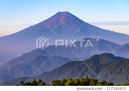 (Yamanashi Prefecture) Mt. Fuji seen in summer from Mt. Karagaharazuri 117142615