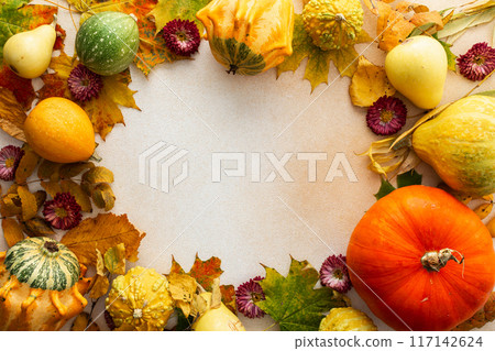 Frame of various pumpkins and fallen leaves 117142624