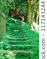 Stairs surrounded by greenery 117143244