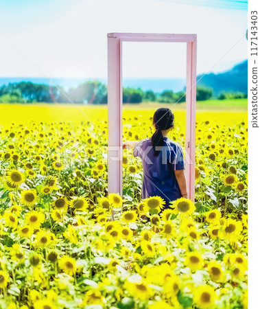 Anywhere door Anywhere door 117143403