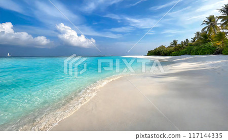 Maldives sea, blue sky and beautiful sandy beach Maldives sea, blue sky and beautiful sandy beach 117144335