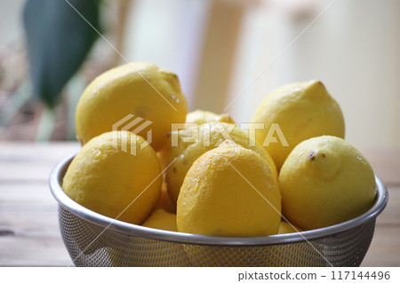 Several lemons in a basket 117144496