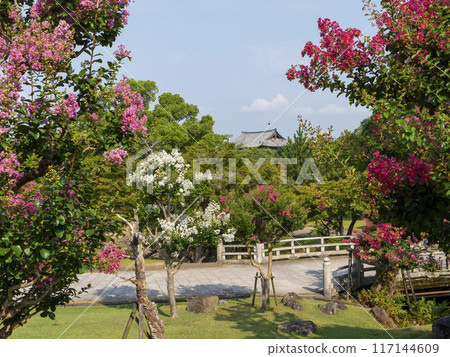 奈良公園風景,紫薇花盛開 奈良公園風景,紫薇花盛開 117144609