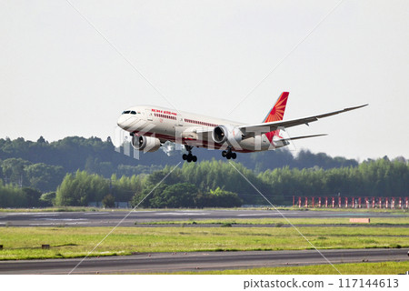 Air India B787 Toyomi right approach 117144613