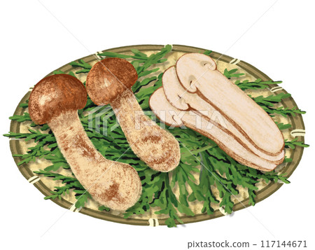 松茸（2 片和片），漏杓和柏葉 117144671