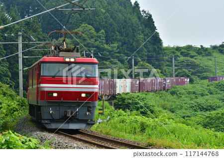 由 JR Freight 的 EH800 級機車牽引的貨運列車在北海道南伊佐裡鐵道上行駛 117144768